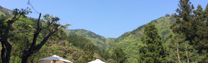ハレとケデザイン舎共同プロジェクト「商品開発を学ぼう！」