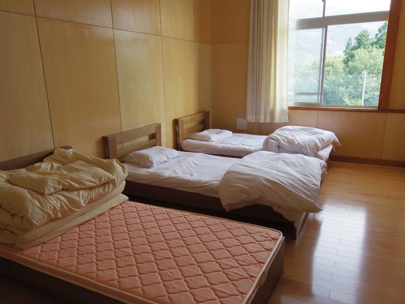 bed
