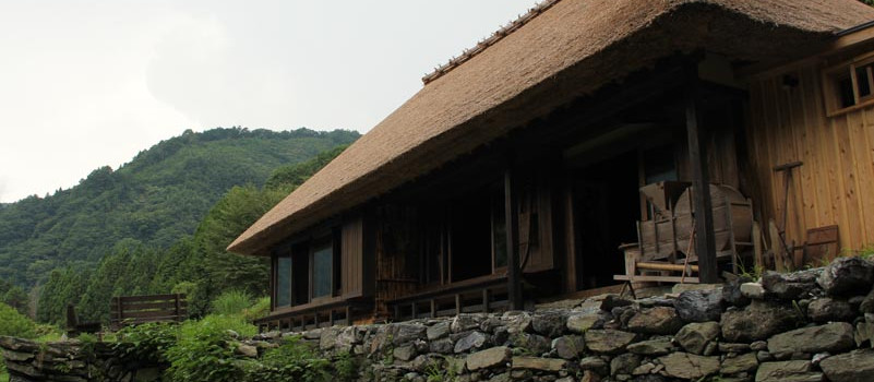tiiori