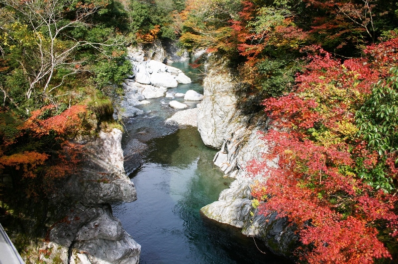穴吹川紅葉2 (800x531)